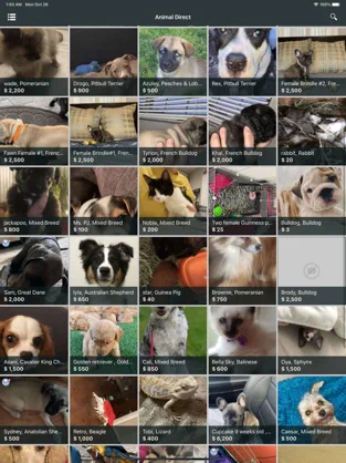 Animal Direct: USA Pet Rehome App Review | GiveMeApps