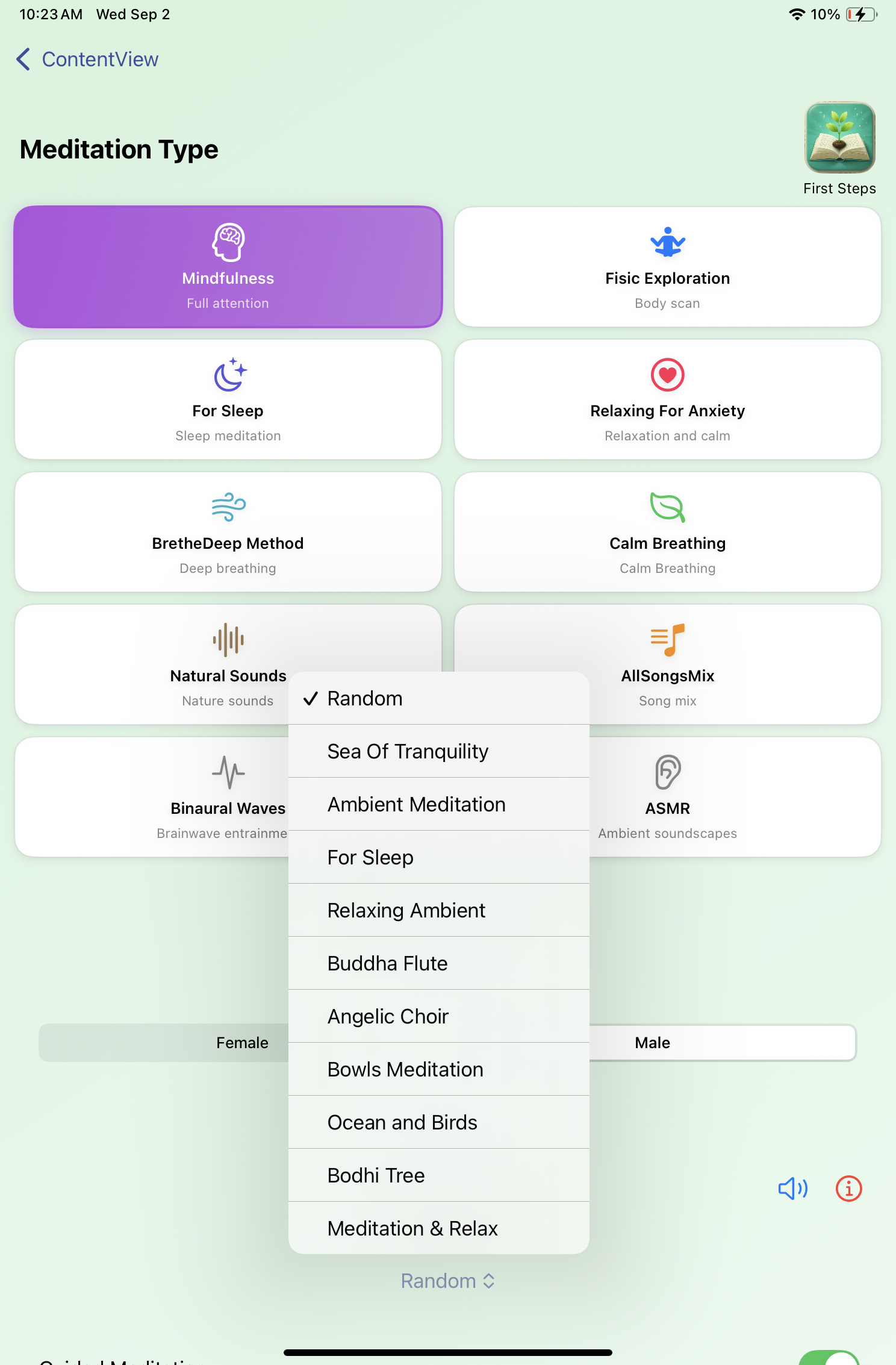 LogicMind iPhone/iPad App Review - Meditation Options
